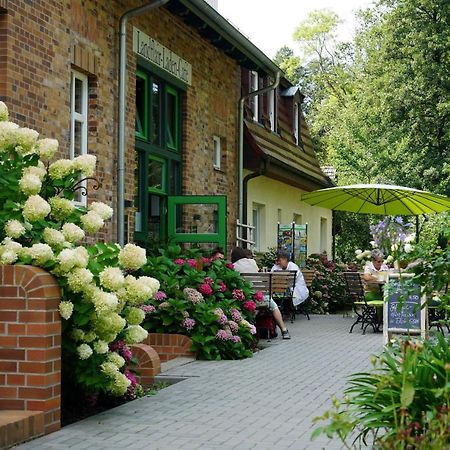 Burg KauperGruener Wald公寓 外观 照片
