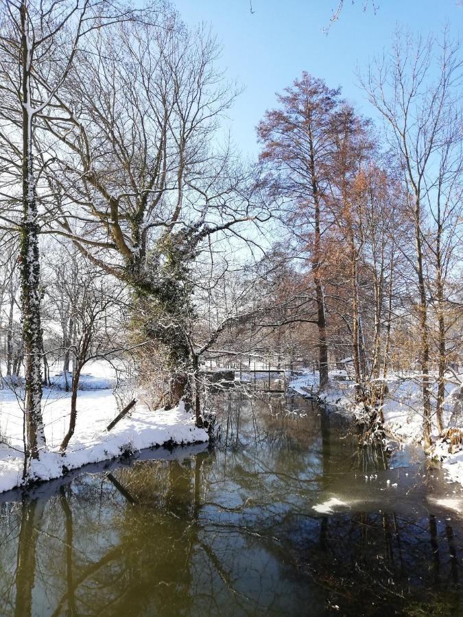 Burg KauperGruener Wald公寓 外观 照片
